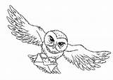 Potter Harry Owl Drawing Coloring Getdrawings sketch template