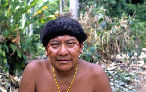 renowned indigenous leaders call for end to uncontacted genocide