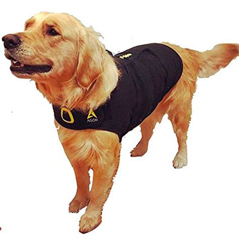 reviewed thunder jackets   dog family handyman