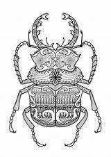 Coloring Zentangle Pages Beetle Adult Mandala Kids Color Patterns Adults Print Children Printable Beetles Colouring Animal Book Incredible Simple Coloriage sketch template