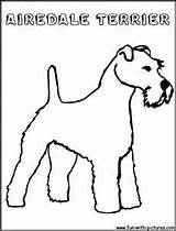 Terrier Coloring Pages Scottish Airedale Getcolorings Col sketch template