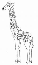 Giraffe Giraffes Pyrography sketch template