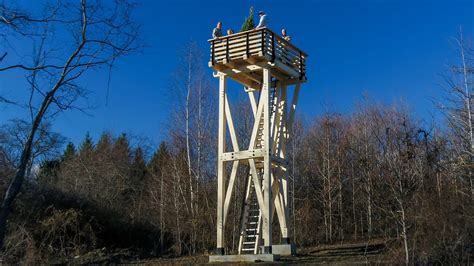 build  lookout tower builders villa