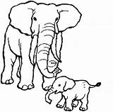 Elephant Elephants Dessin Elefanti Imprimer Indou Children Stampare Justcolor Elefante Coloriage Atuttodonna sketch template