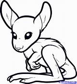 Kangaroo Coloring Pages Baby Kids Cute Colouring Draw Drawings Animals Comments Step Popular Coloringhome sketch template