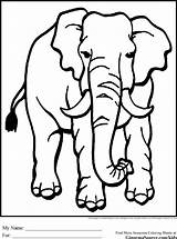 Animals Coloring Pages Endangered Animal African Drawing Elephant Para Colorear Clipart Elefantes Jungle Printable Templates Easy Savanna Drawings Cartoon Zoo sketch template