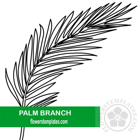 palm branch coloring page flowers templates