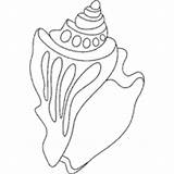 Conch sketch template