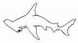 Shark Hammerhead Drawing Coloring Draw Pages Kids Great Drawings Hammerhai Tattoo Hai Colouring Hammer Tattoos Ausmalen Danaan Drawn Paintingvalley Patterns sketch template