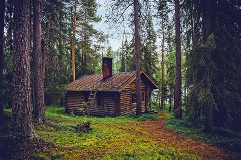 images landscape tree nature forest wilderness house home country hut shack