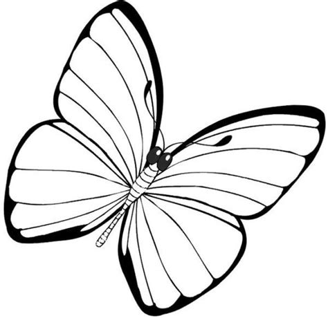 simple butterfly coloring pages butterfly coloring page butterfly