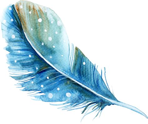feather watercolor painting feather png    transparent feather png