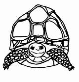 Coloring Pages Tortoise Turtle Tortoises Animal Animated Turtles Animals Coloringpages1001 Gifs sketch template