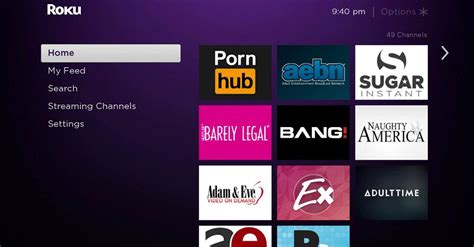 wanna watch porn on roku here is how porn dude blog