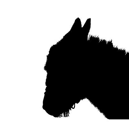 donkey  ears  intricate vector shape stock illustration