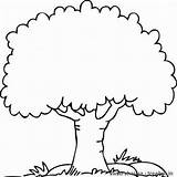 Tree Family Coloring Pages Printable Kids Getcolorings Color Getdrawings Colorings sketch template