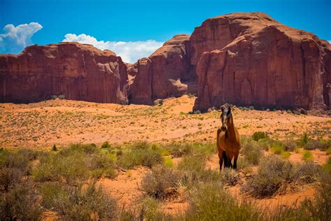 nature sandstone horse desert landscape wallpapers hd desktop