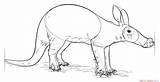 Aardvark Draw Step Drawing sketch template