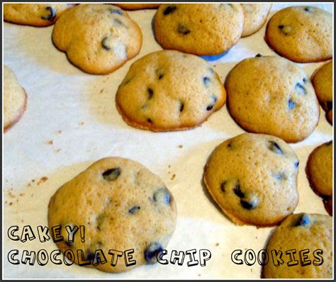 simply sycamore  cakey chocolate chip cookies