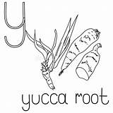 Letter Educated Yucca sketch template