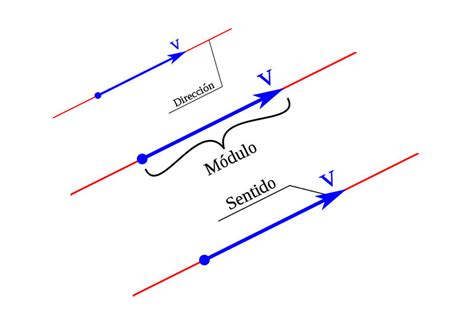 tipos de vectores quiz