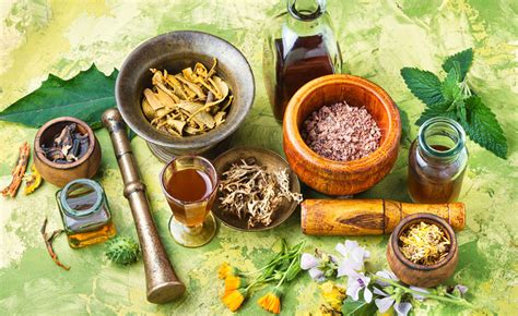ayurveda  briew overview   ancient science