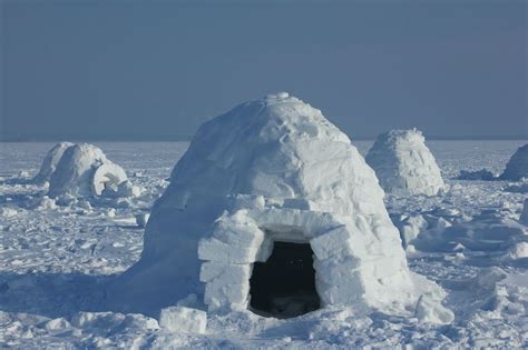 iroquois navajo  inuit dwellings
