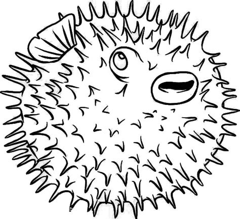 pin  puffer fish coloring page