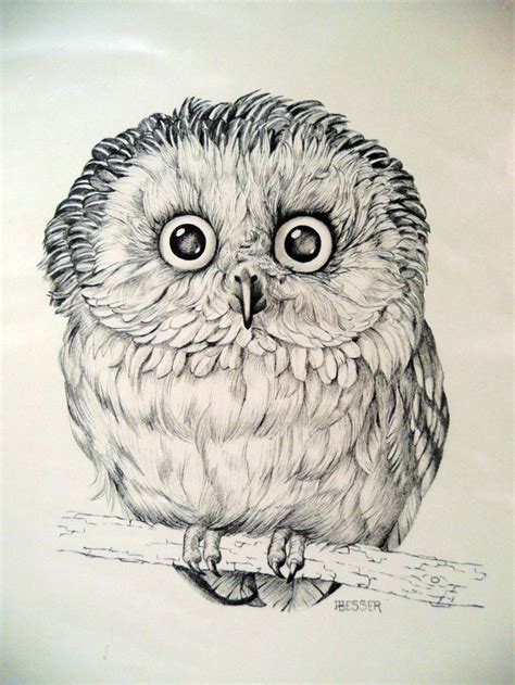 owl art print drawing  besser printed   angelinesattic