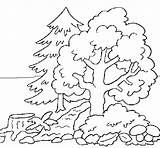 Forest Coloring Coloringcrew sketch template