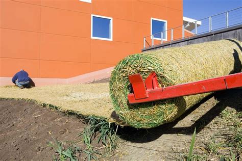 erosion control matt controls soil erosion protect surface winfabusa