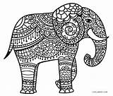 Elefant Elephant Elefante Colouring Erwachsene Stilizzato Dolphin Scaricare Cool2bkids sketch template