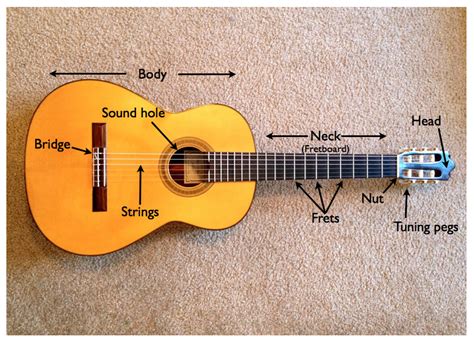 labeled parts   acoustic guitar  taught lessons