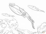 Squid Ausmalbild Riesenkalmar Designlooter Tiefsee Reef Bigfin Kalmar Supercoloring Birijus Geheimnisvolle Ausmalbilder sketch template