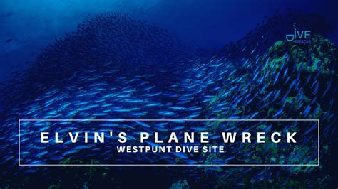 elvins plane wreck dive site  westpunt curacao curacao dive guide dive travel curacao