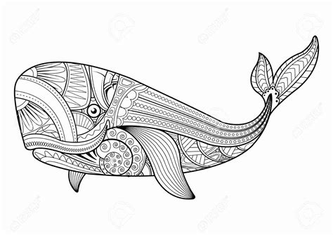 animal coloring designs fresh patterned animal coloring pages whale