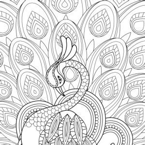 coloring pages  adults  gif