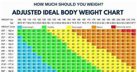 how much should you weigh calculate your ideal body weight exercise