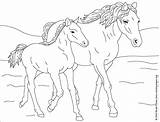 Horse Coloring Pages Print Kids sketch template