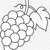 Anggur Grapes Mewarnai Vine Buah Fruite Leaves Pinclipart Buahan Webstockreview Pngfind sketch template