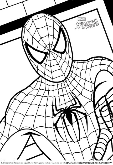 spider man coloring page  kids spider man close