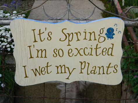 spring sign gardening plants pinterest spring gardens