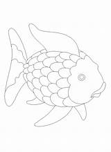 Fish Rainbow Outline Template Coloring Printable Paper Clipart Cutouts Tissue Cute Craft Colored Use Glue Watered Down Cliparts Ocean Clip sketch template
