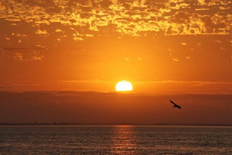 무료 이미지 바다 연안 자연 대양 수평선 햇빛 태양 해돋이 일몰 아침 새벽 황혼 저녁 맑은 행복