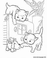 Coloring Pages Cat Cats Playing Kittens Kids Kitten Printable Puppies Puppy Animal Oven Color Three Cute Book Print Little Filminspector sketch template
