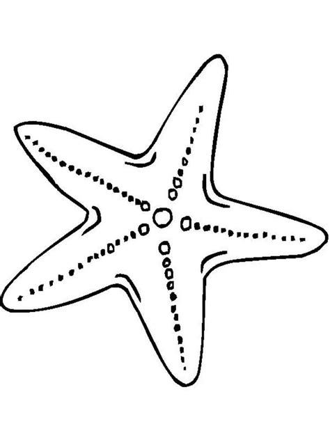 starfish coloring pages    print