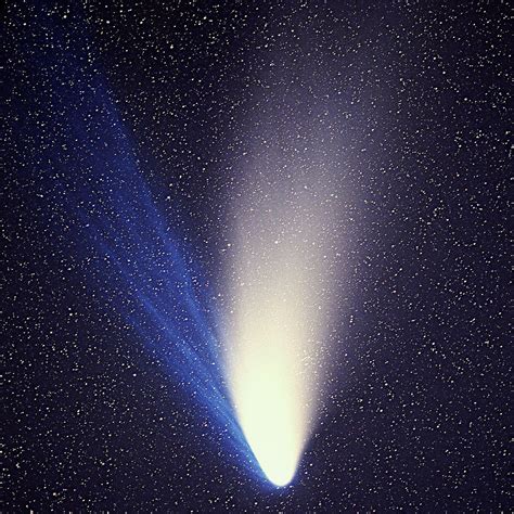 comet hale bopp annes astronomy news