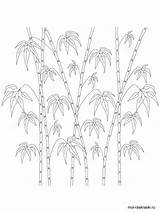 Bamboo Coloring Pages Printable Tree Color Kids Trees Recommended Getdrawings Getcolorings Print sketch template