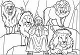 Coloring Daniel Lions Lion sketch template