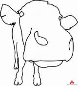 Cow Outline Face Drawing Clipart Clipartmag Drawings Paintingvalley sketch template